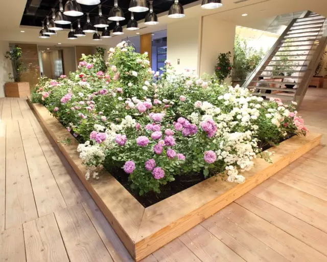 田園風(fēng)辦公室裝修效果圖